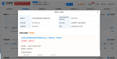 網(wǎng)元圣唐被強制執(zhí)行3821萬元，背后折射數(shù)字內(nèi)容制作服務(wù)風(fēng)險